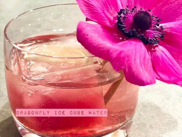 dragonfly ice cube water